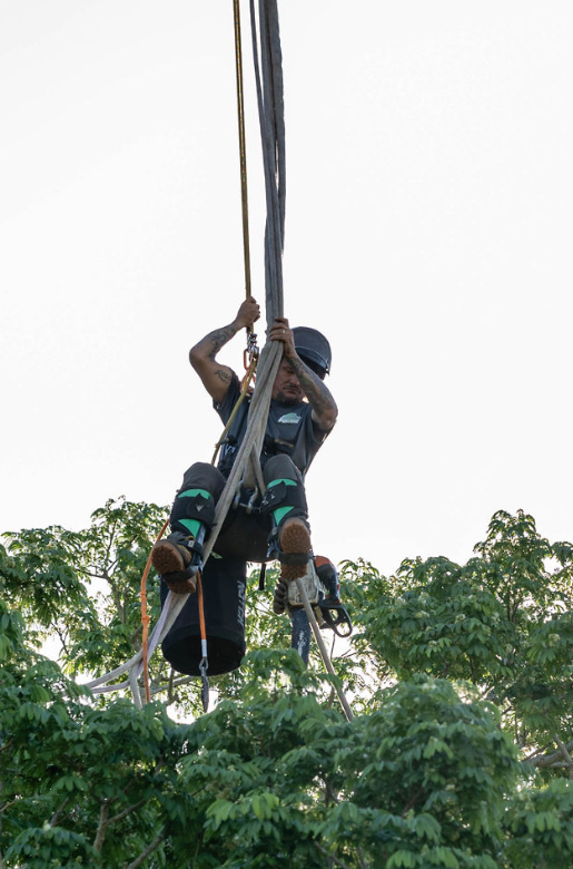 2ILKnY_1745858903 A man hanging from ropes on a tree.