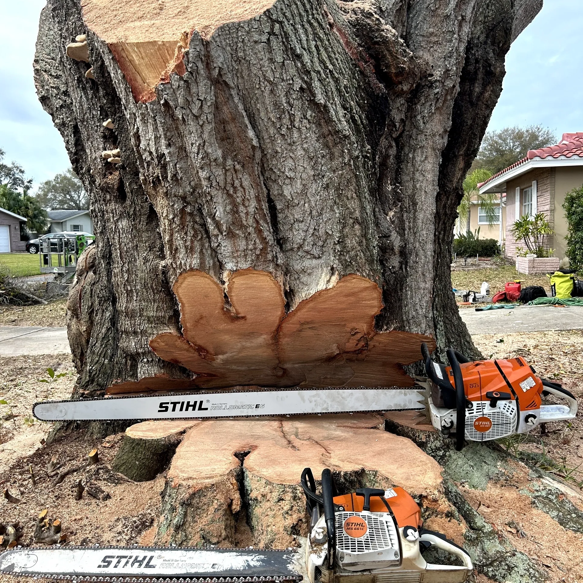 1744353862644_IMAGE-52463_20_2818_29 A tree that has been cut down and is being worked on.