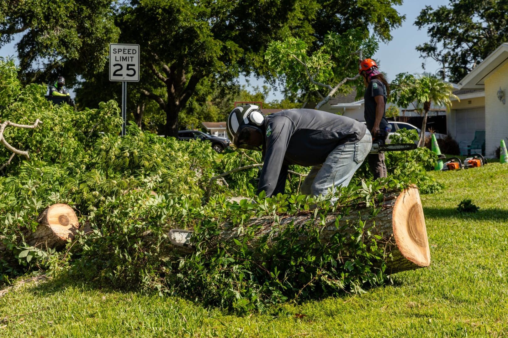 A man is cutting down trees with an electric saw.