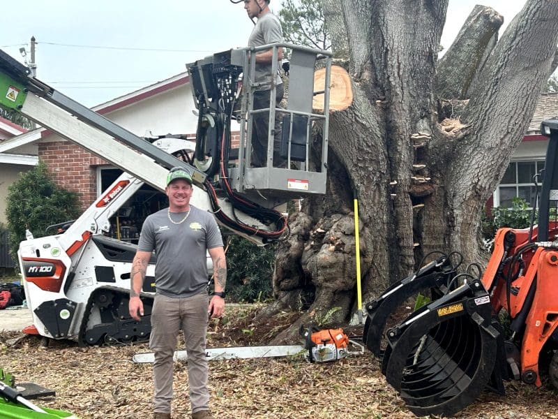 Tree Care Services | Caliber Tree Experts, LLC