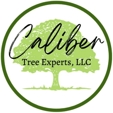 Caliber Tree Experts, LLC