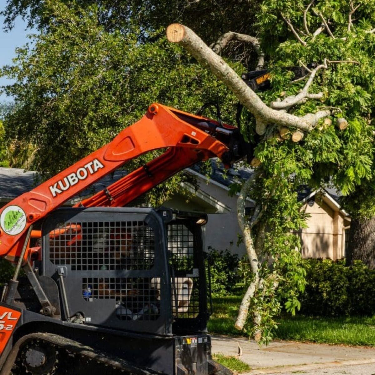 Site Clearing 4
