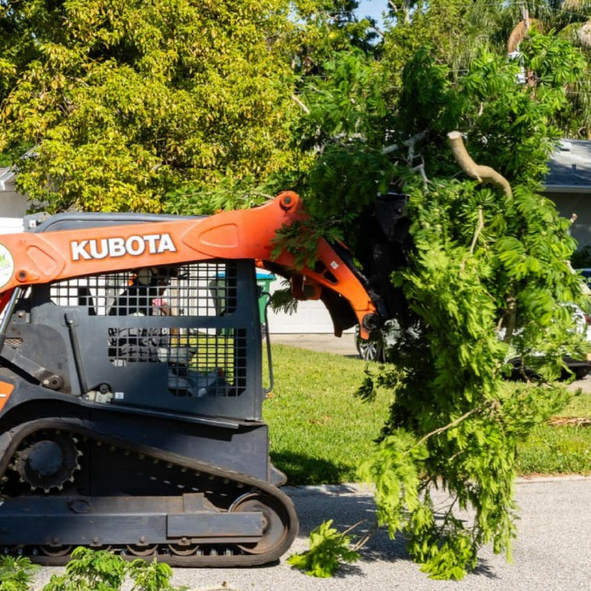Tree Removal 3